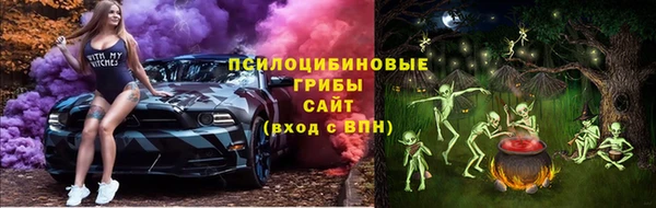 амф Верхний Тагил